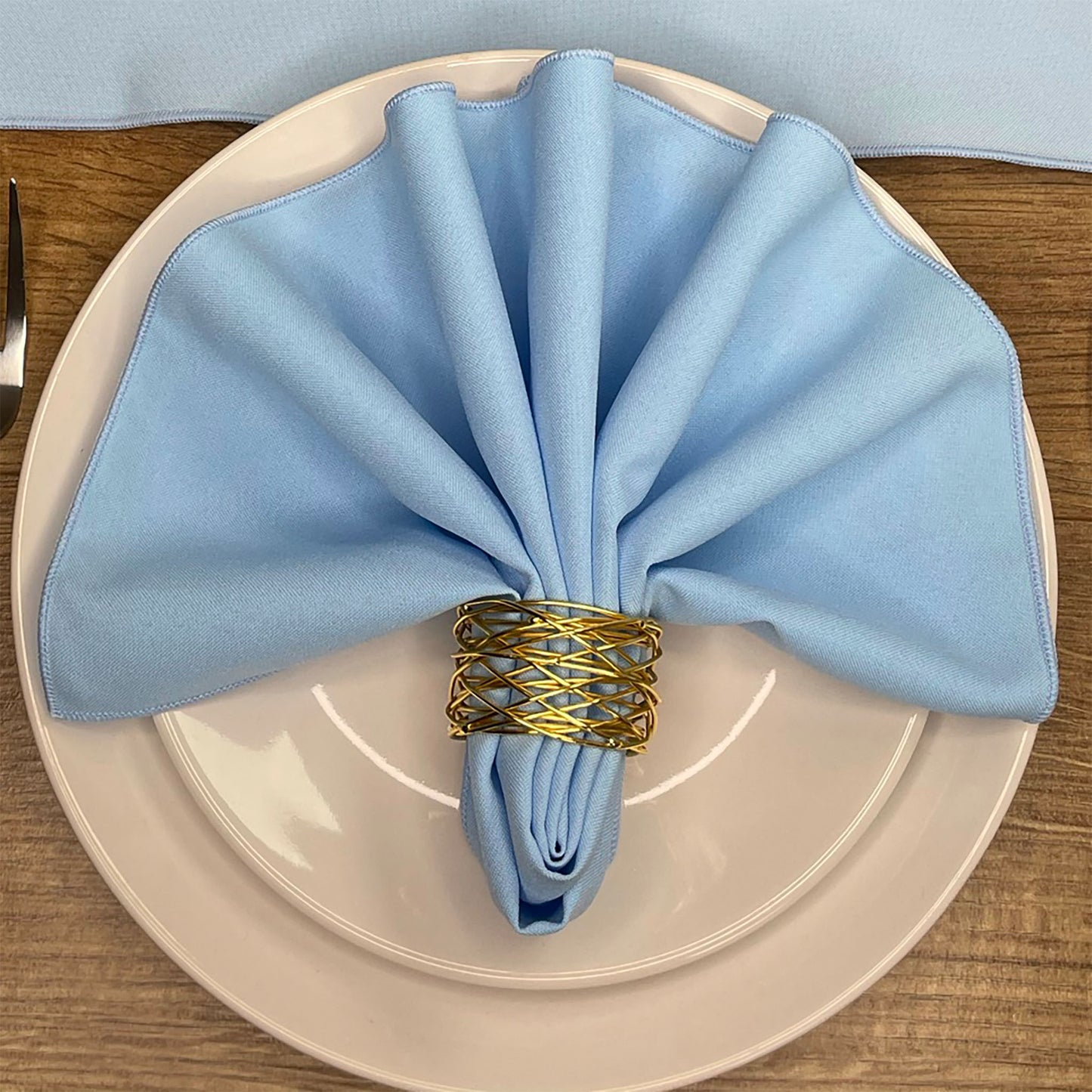 Baby Blue Napkin